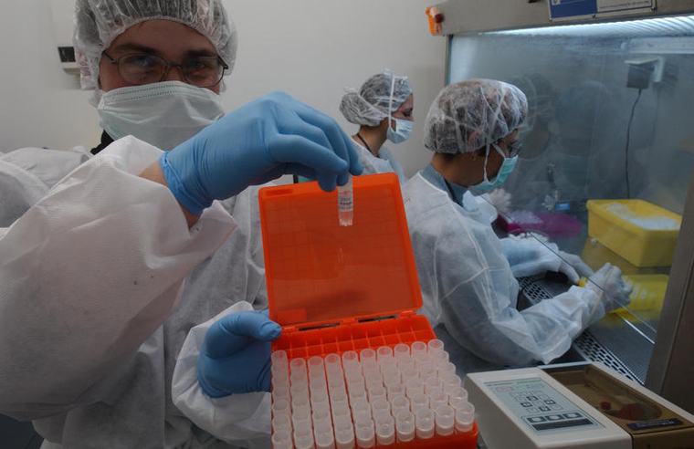 בשורה דרמטית לחולי סרטן הלבלב ה-FDA אישר תרופה חדשנית המאריכה משמעותית את תוחלת החיים