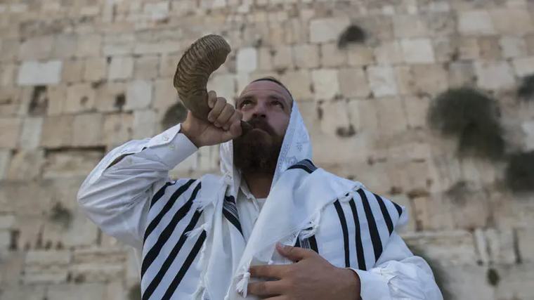 להתייצב, להתעורר ולבחור בחיים אורנה איילון
